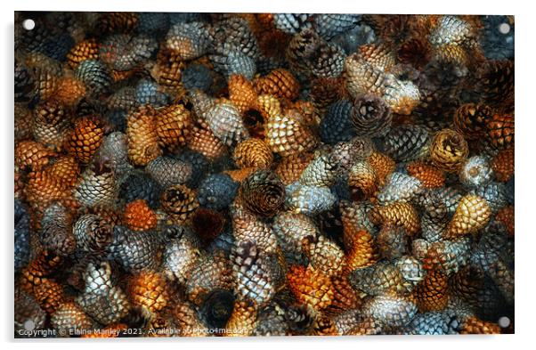 Pine Cones...  misc  Acrylic by Elaine Manley