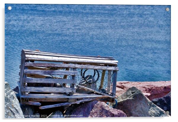 Old Lobster Trap Acrylic by Elaine Manley