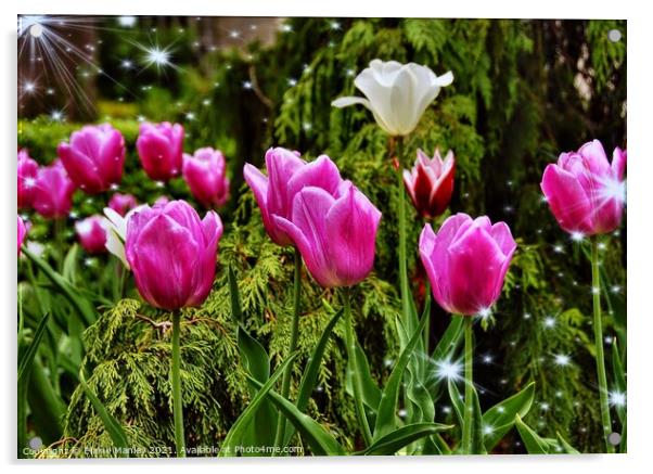  Spring Tulip Sparkle    .. flower  Acrylic by Elaine Manley
