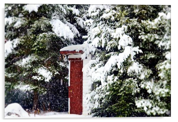 Outhouse in the Snow....  misc  Acrylic by Elaine Manley