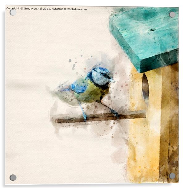 Blue Tit entering Nesting Box Digital Watercolour Acrylic by Greg Marshall