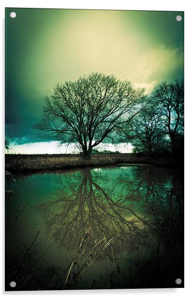Gothic Sleepy Hollow Tree Reflection Acrylic by Greg Marshall