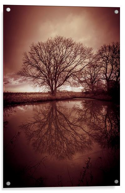 Sleepy Hollow Red Tree Reflection Acrylic by Greg Marshall