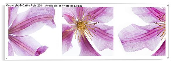 Clematis triptych Acrylic by Cathy Pyle