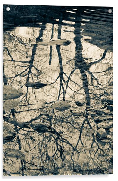 Reflected trees, with stones Acrylic by Cathy Pyle