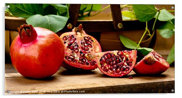 Pomegranates Acrylic by Cathy Pyle