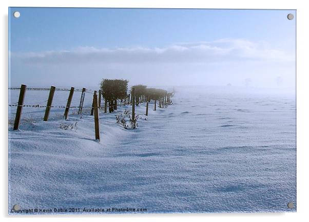 Snow fields Acrylic by Kevin Dobie