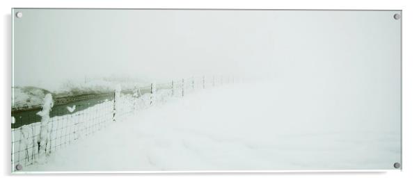 Winter in the field Acrylic by Kevin Dobie