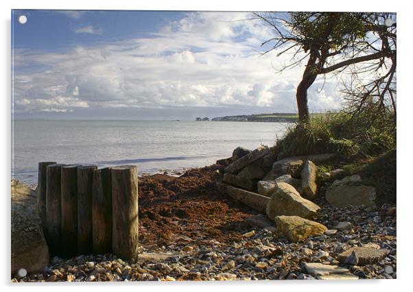 Studland Shoreline Acrylic by Phil Wareham