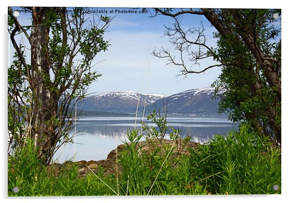 Fjordside Acrylic by Phil Wareham
