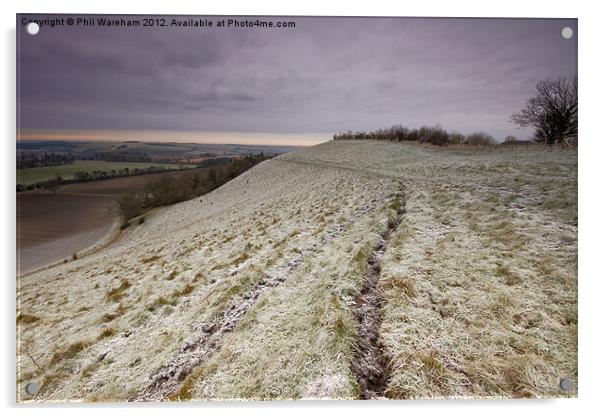 Winter Hillside Acrylic by Phil Wareham