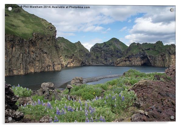 Heimay, Iceland Acrylic by Phil Wareham