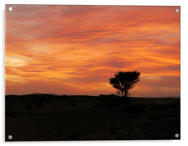 Sahara Sunset Acrylic by Andrew Watson