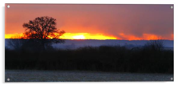 Ridgeway sunrise Acrylic by Andrew Watson
