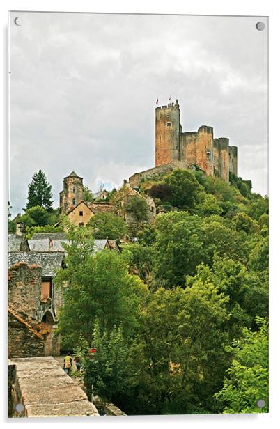 Chateau de Najac Acrylic by Mike Crew