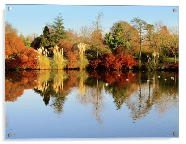 Wakehurst In Autumn Acrylic by Jane Chivers