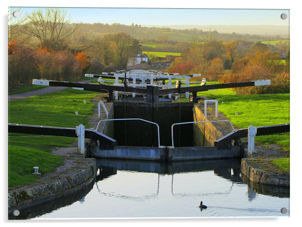 Caen Locks Acrylic by Jane Chivers