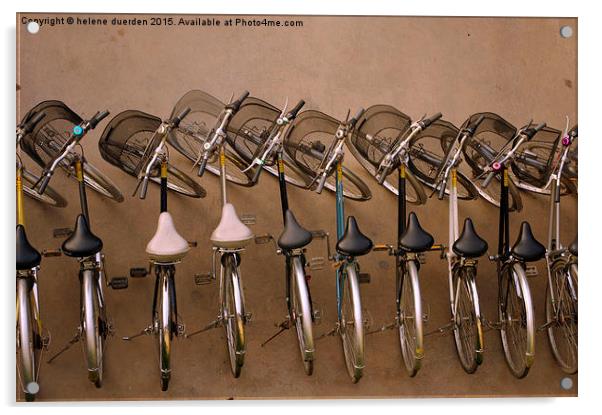  Line of Bicycles  Acrylic by helene duerden