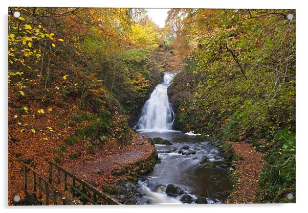 Glenoe Falls in Autumn Acrylic by Paul Evans