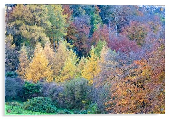 Colours of Autumn Acrylic by Paul Evans