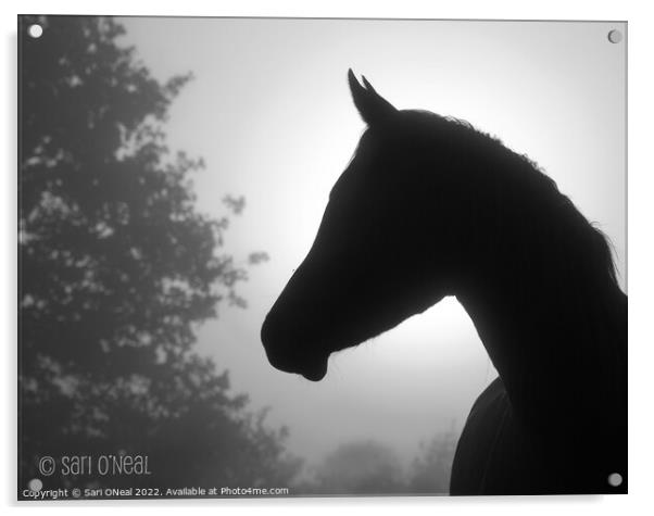 Arabian horse silhouette Acrylic by Sari ONeal