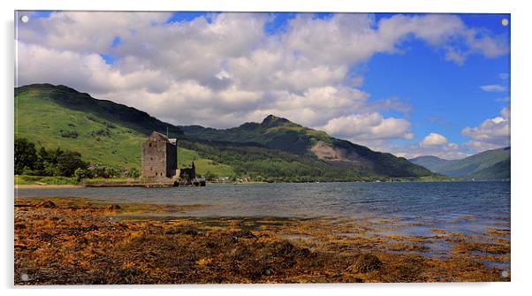 Carrick Castle, Loch Goil, Argyll, Scotland  Acrylic by Donald Parsons
