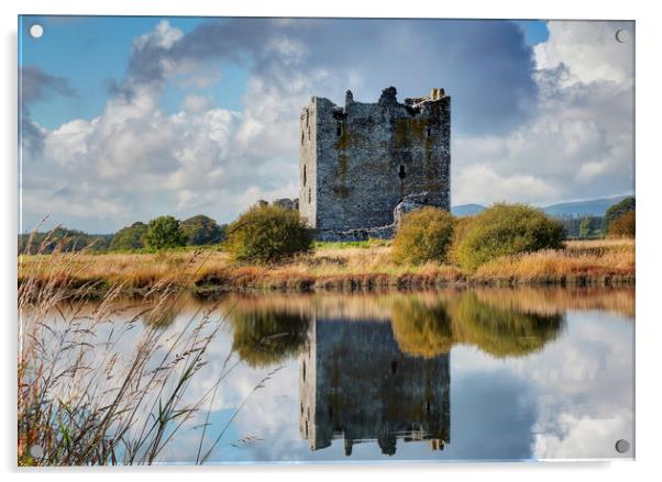 Threave Castle, Dumfries and Galloway, Scotland Acrylic by Donald Parsons