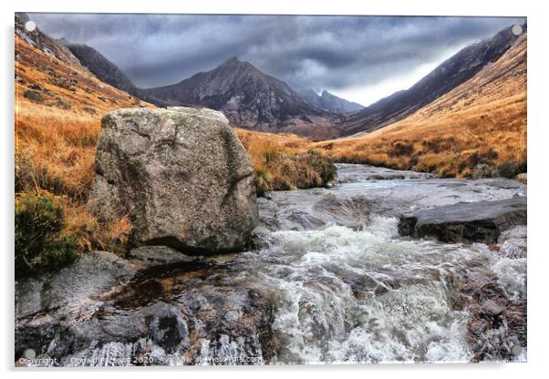 Mountain Stream, Glen Rosa, Isle of Arran Acrylic by Donald Parsons
