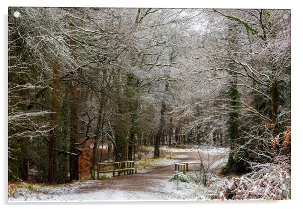 A Winter Walk Acrylic by David Tinsley