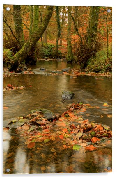 Autumn Reflections Acrylic by David Tinsley