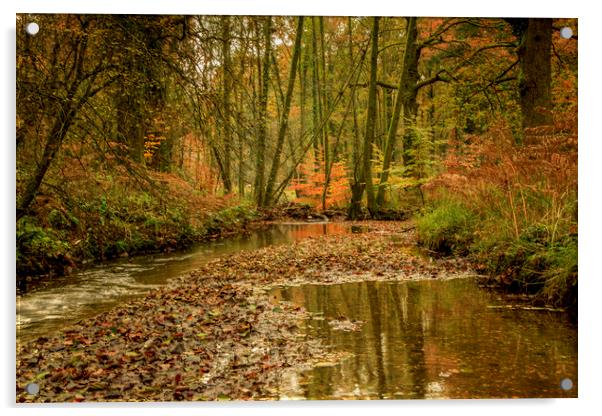 Autumn Reflections Acrylic by David Tinsley