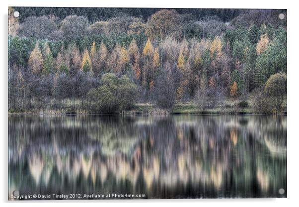 Winter Reflections Acrylic by David Tinsley