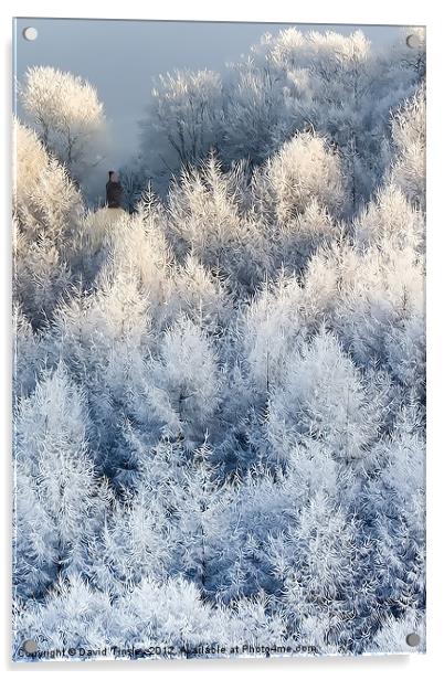 Snow Cottage Acrylic by David Tinsley