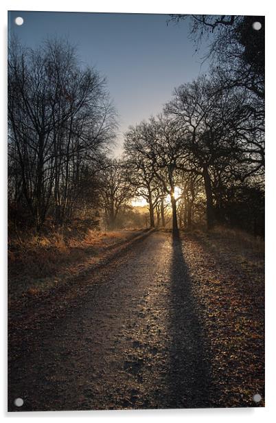 Cycle Path Sunrise Acrylic by David Tinsley