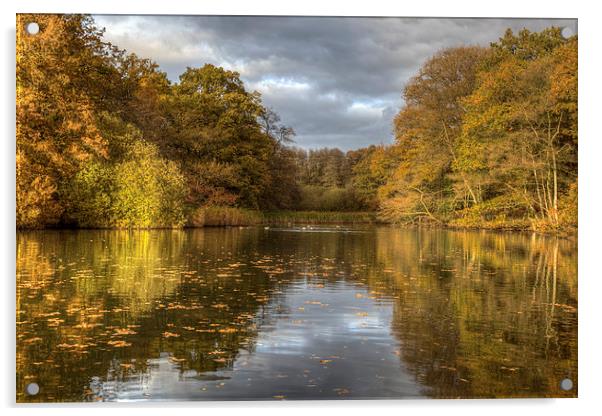 Autumn Ponds - 2 Acrylic by David Tinsley