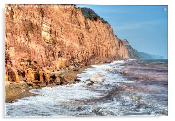  Sidmouth Cliffs Acrylic by David Tinsley