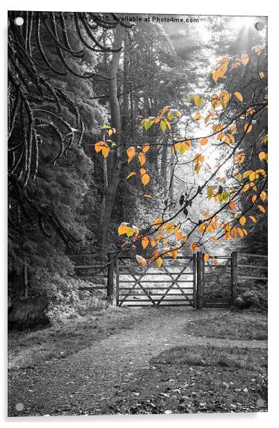  Hint of Autumn Acrylic by David Tinsley