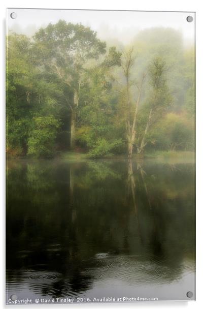 Misty Reflections Acrylic by David Tinsley