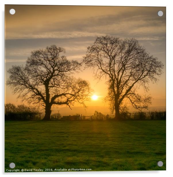 Winter Sunrise 3 Acrylic by David Tinsley