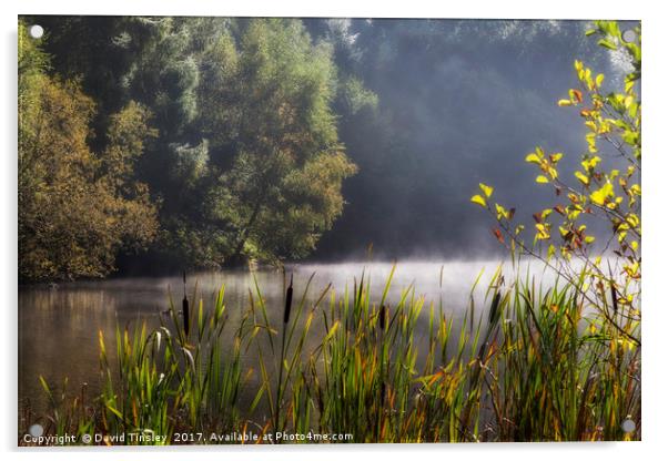 Autumn Mist at Mallards Pike Acrylic by David Tinsley