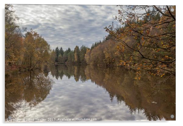 Autumn Lake Reflections Acrylic by David Tinsley