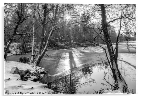 Winter Lake Sunrise Acrylic by David Tinsley