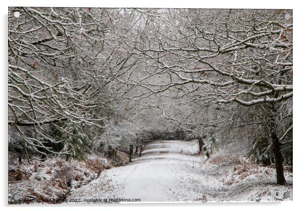 Snowy Woodland Walk No.8 Acrylic by David Tinsley