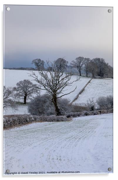 Rural Snowy Landscape Acrylic by David Tinsley