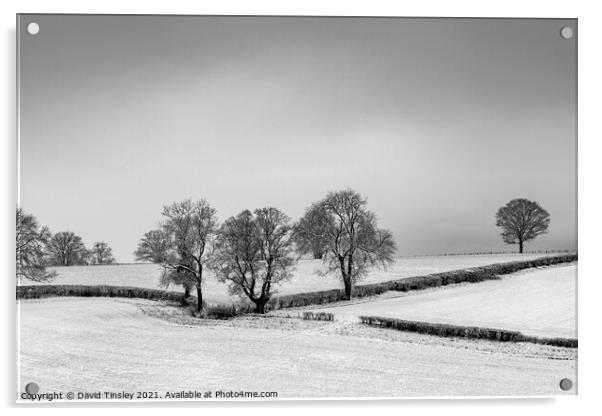 Snowy Oak Landscape Acrylic by David Tinsley