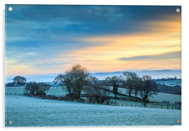January Sunrise  Acrylic by David Tinsley