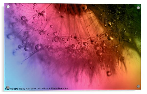 Clockwork Rainbow Dandelion Seed Acrylic by Tracy Hall