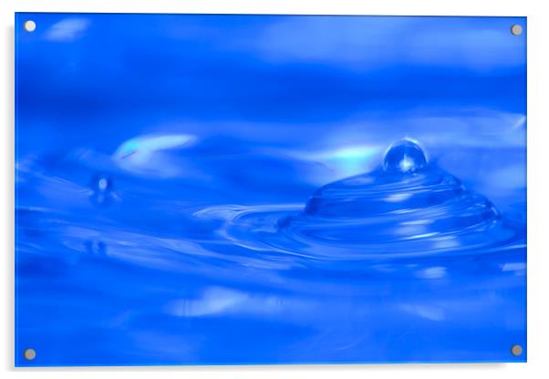 Macro Water Acrylic by allen dutton