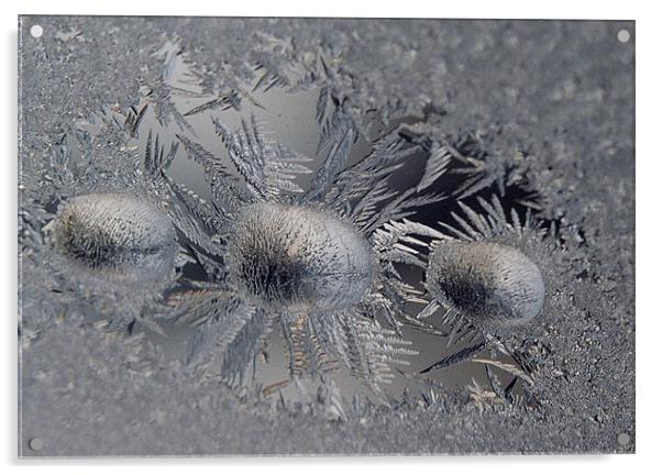 Frost with three droplets  Acrylic by Donna-Marie Parsons