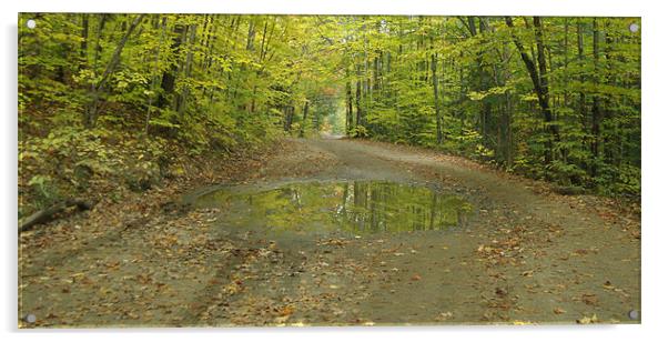 Puddle in Oxtongue River Rapids Acrylic by Donna-Marie Parsons